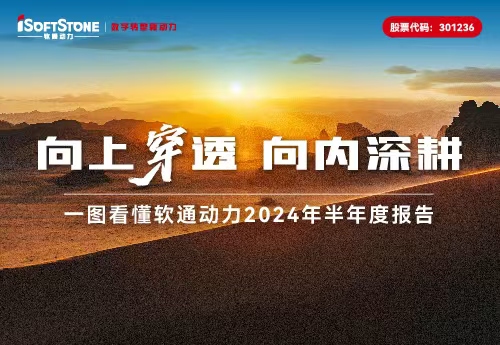 一图看懂米兰milan动力2024年半年度报告